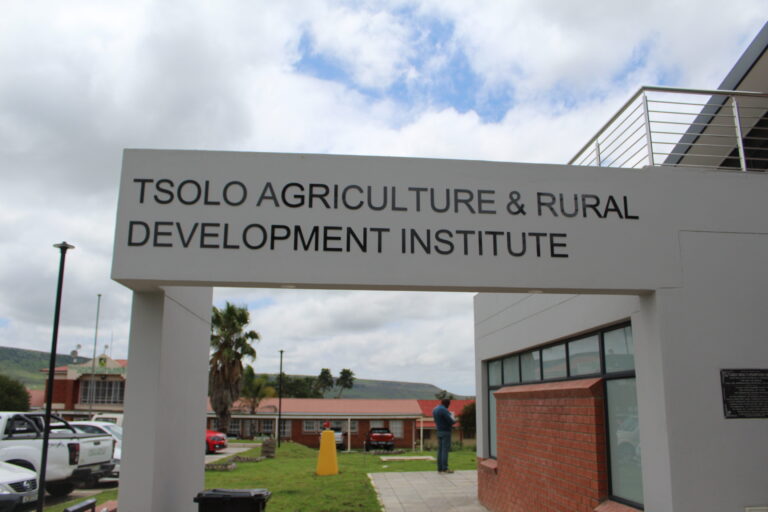 Tsolo Agriculture Rural Develpment Institute Building Image